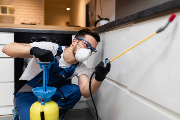 Best Best Pest Control Companies  in Cherry Creek, CO