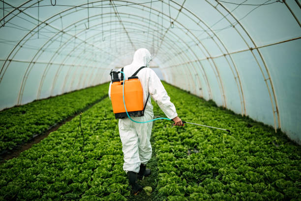 Best Pest Prevention Services  in Cherry Creek, CO