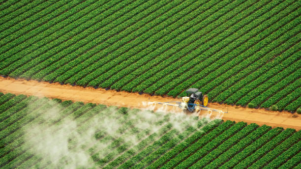 Best Mosquito Control Services  in Cherry Creek, CO