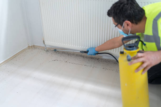 Best Pest Removal Services  in Cherry Creek, CO